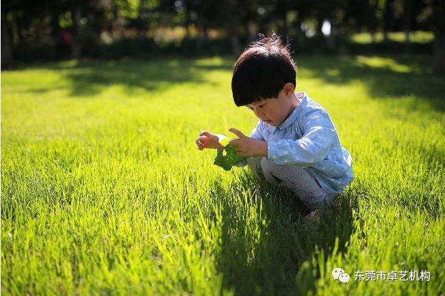 这些大道理，父母需要讲给孩子听